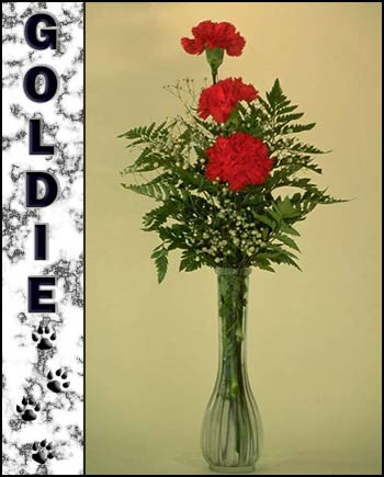 Goldie's Memorial