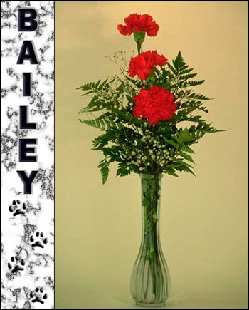 Bailey's Memorial