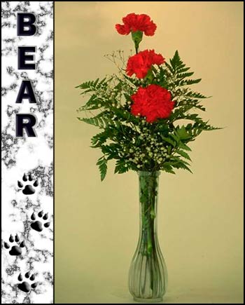 In loving memory of Bear