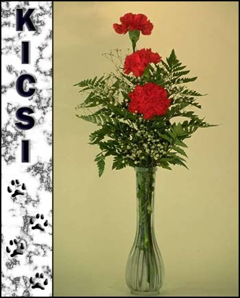 Kicsi's Memorial