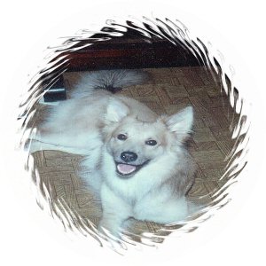Murfie