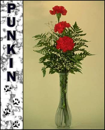 Punkin's Memorial