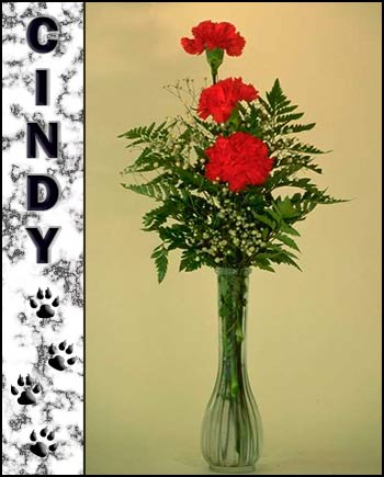 Cindy's Memorial