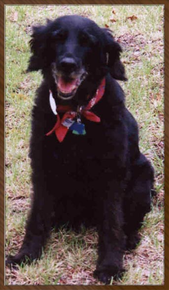 Bacon's Memorial