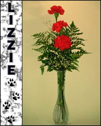 In Loving Memory of Lizzie