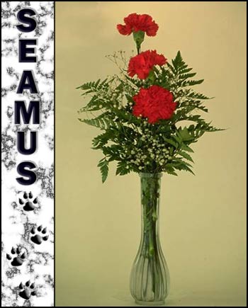 Seamus's Memorial
