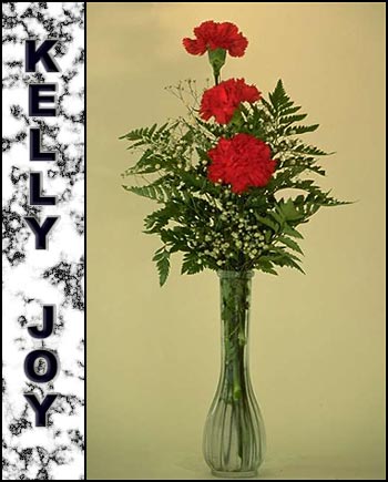 Kelly Joy Memorial Graphic