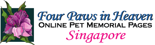 Four Paws in Heaven Singapore Memorials
