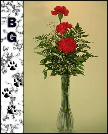 BG's Memorial