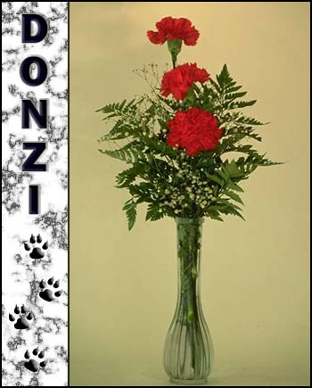 Donzi's Memorial