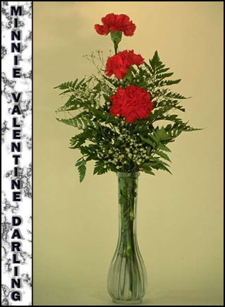 Minnie Valentine Darling's Memorial
