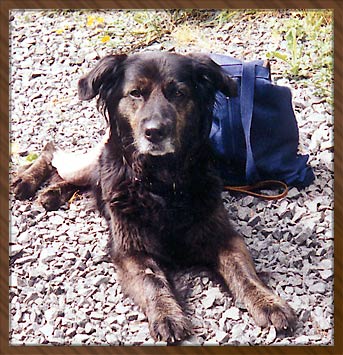 Boomer's Memorial
