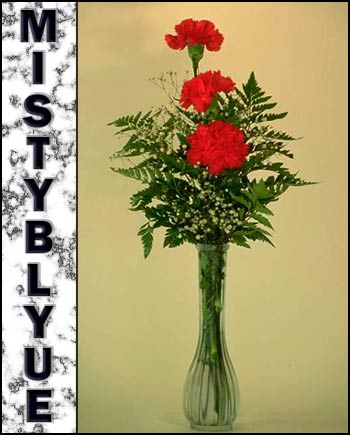 In Loving Memory of Mistyblyue