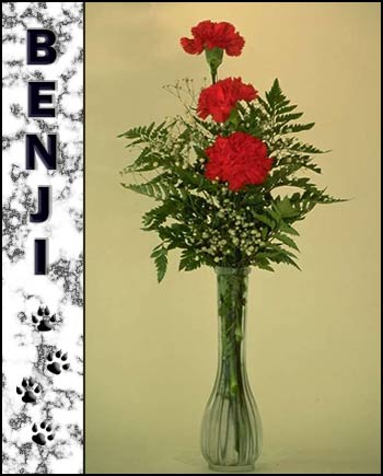 Benji's Memorial