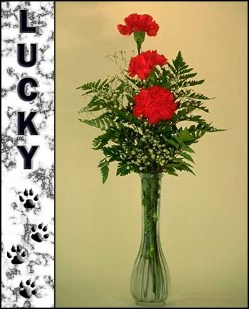 Lucky's Memorial