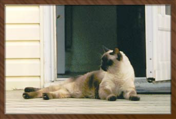 Nicodemus