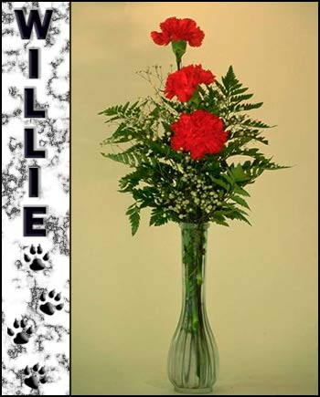 In Loving Memory of Willie