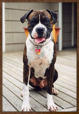 Sir Gunther - "Gunny"