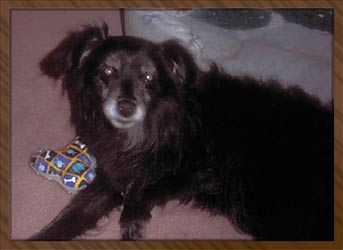 Tuffy
